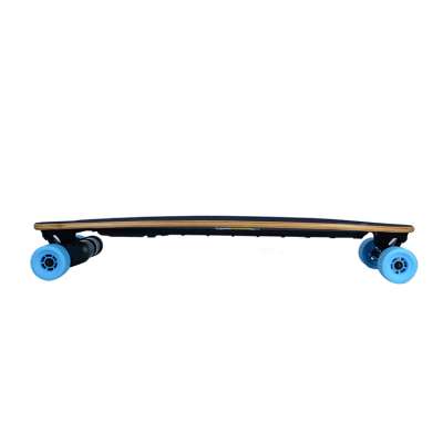 Custom Powerful 1200W Dual Belt Drive Electric Longboard Skateboard for Sale