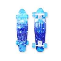 Colorful 22inch Cruiser Fish Skateboard Complete with PU wheels Plastic Skateboard