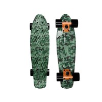 22 Inch Custom Plastic Skateboard Complete With Water Transfer Surface Treatment