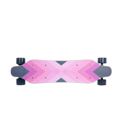 Custom 800W Dual Hub Motor Electric Longboard Skateboard with LED Light