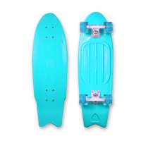 Fish Shape Complete 28 Inch Cruiser Plastic Skateboard with Customized Available