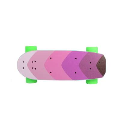 Custom Powerful 1200W Single Belt Drive Electric Longboard Skateboard for Sale